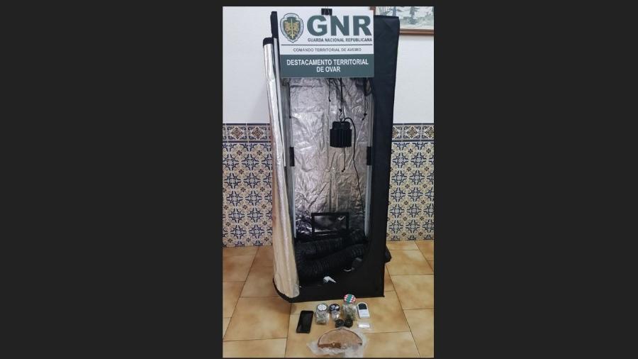 Homem intoxica familiares e criança de quatro anos com bolo de maconha