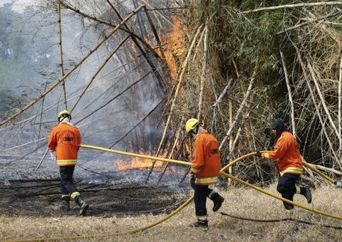 Incêndio atinge parque ecológico em área urbana do Distrito Federal