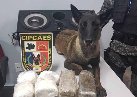 Com apoio de cães, PM apreende maconha e cocaína em balsa na Manaus Moderna