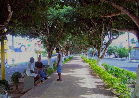 Municípios do Amazonas têm alertas do tribunal de contas por gastos fora de limite