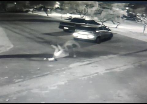 Vídeo: Personal trainer agride brutalmente namorada com chutes e socos 