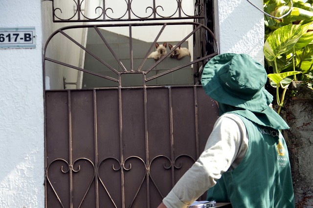 Parque Ponte dos Bilhares terá equipes do CCZ para vacinação antirrábica