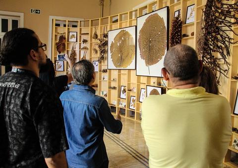 Primavera dos Museus terá atividades gratuitas em Manaus