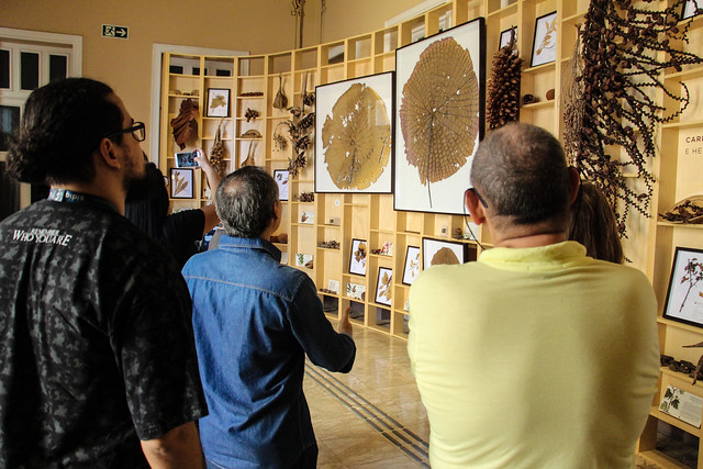 Primavera dos Museus terá atividades gratuitas em Manaus