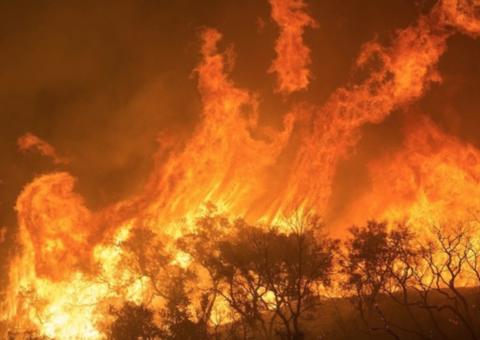 Greve do clima leva milhares de jovens às ruas no mundo todo 