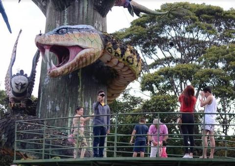 Dia da Árvore: Parque Sumaúma tem programação especial neste sábado em Manaus