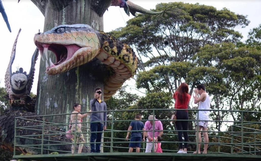 Dia da Árvore: Parque Sumaúma tem programação especial neste sábado em Manaus