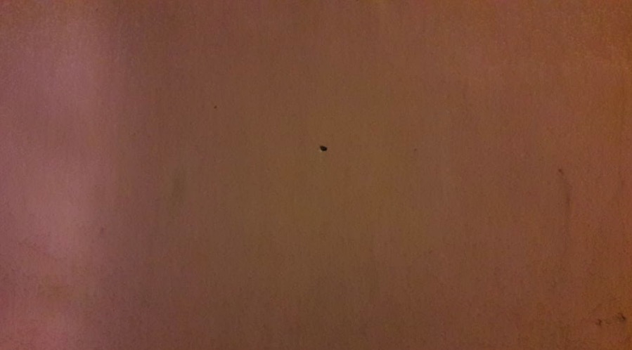 Encapuzados chegam atirando contra homens que conversavam em rua de Manaus