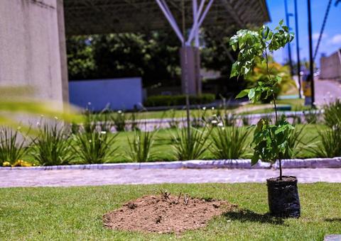 Assembleia Legislativa do Amazonas comemora o Dia da Árvore