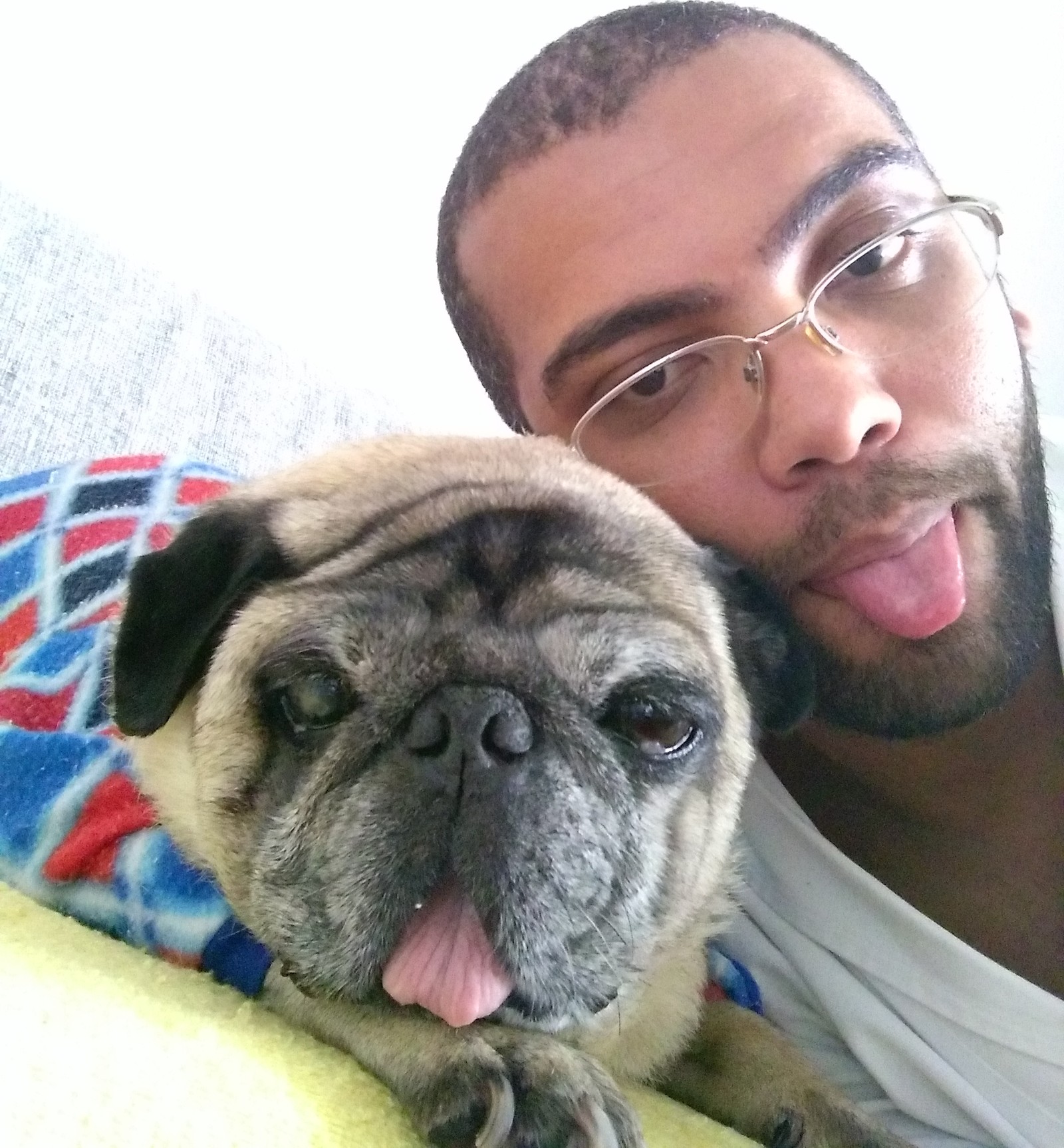 Mecânico ganha na Justiça direito de ver cão doente que ficou com ex