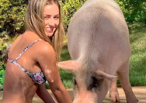 Paula Sperling, campeã do BBB19, faz festa de aniversário para porca Pippa 