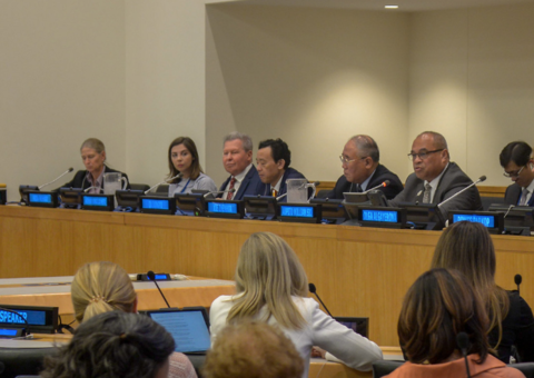 Na ONU, Arthur Neto é aplaudido ao rejeitar garimpo na Amazônia