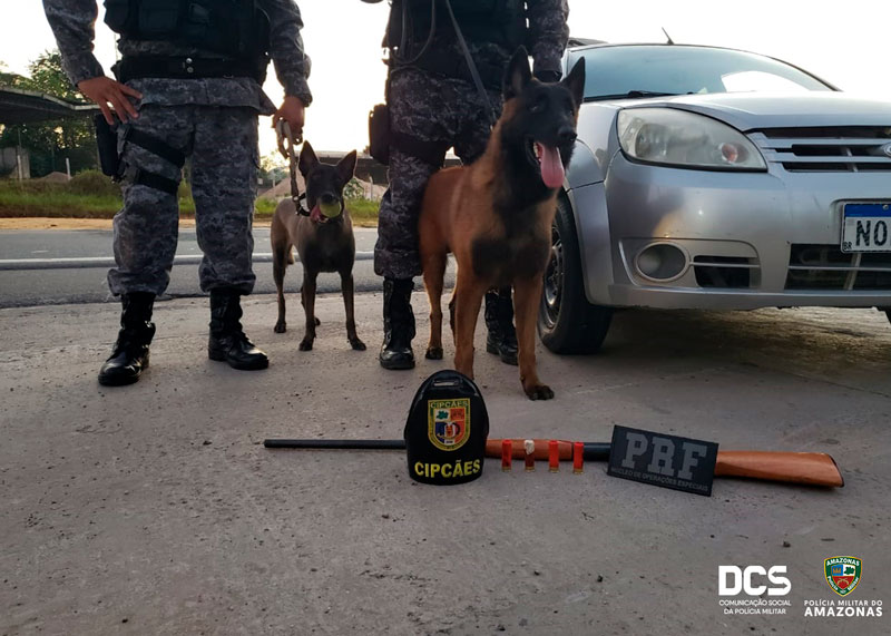 Ao cair em blitz policial, homem é flagrado com espingarda escondida no carro na BR 174