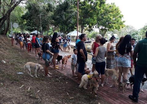 600 animais são imunizados em campanha antirrábica realizada em Manaus