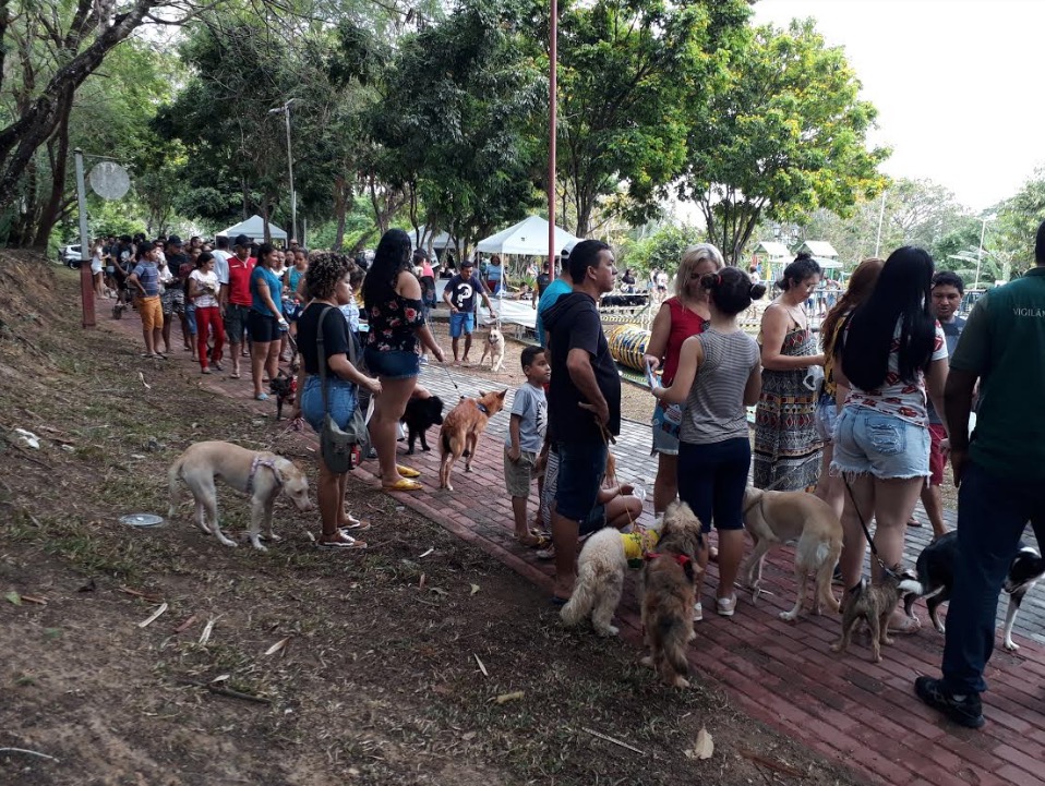 600 animais são imunizados em campanha antirrábica realizada em Manaus