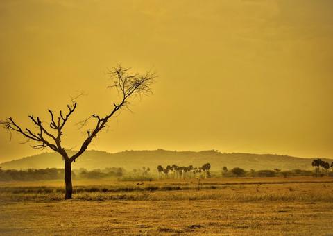 Temperatura média do planeta pode subir 3,4°C até 2100
