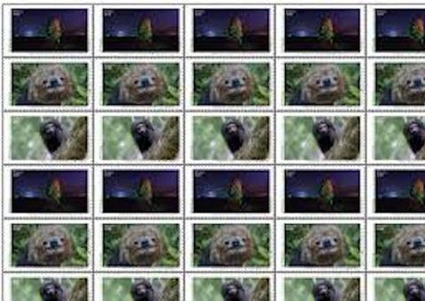 Correios e Inpa lançam selo sobre fauna brasileira nesta terça em Manaus