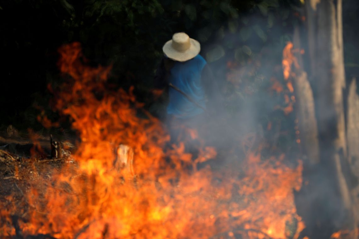 Maioria dos Incêndios na Amazônia é criminoso, diz ICMBio