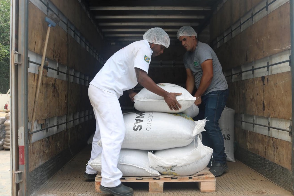 Empresa nacional compra pela primeira vez 1,8 toneladas de café produzida no Amazonas