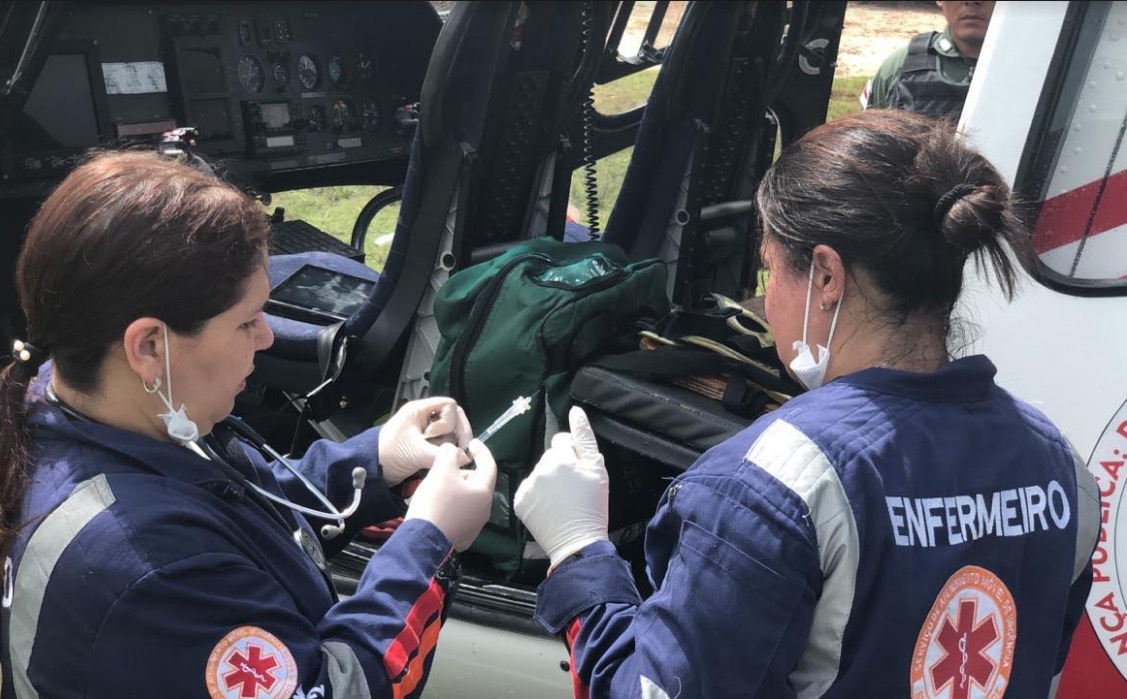 Bombeiros dão dicas sobre o que fazer em casos de picadas por animais peçonhentos