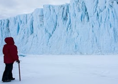 Site busca voluntários para missão na Antártida; Veja como participar 