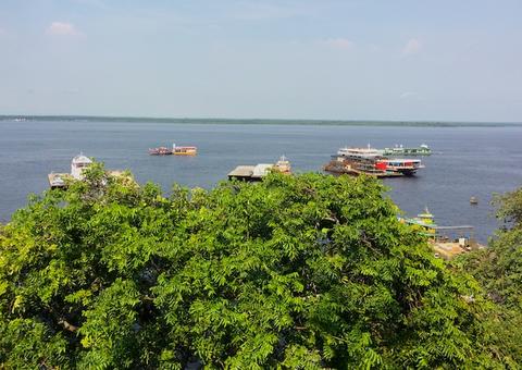 Atividade econômica da Zona Franca de Manaus mantém floresta em pé