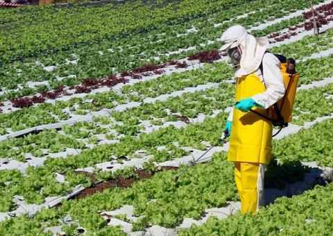 Cuidados na compra e aplicação de agrotóxicos são tema de palestra em Manaus
