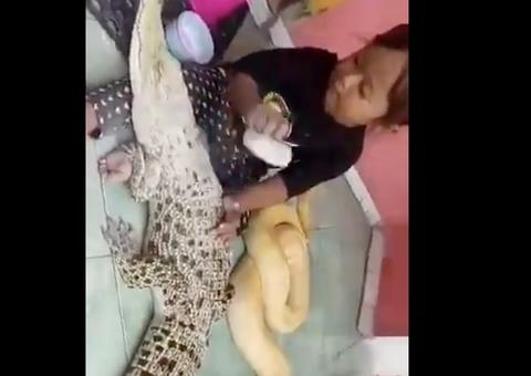 Vídeo de menina 'maquiando' jacaré ao lado de cobra viraliza na internet