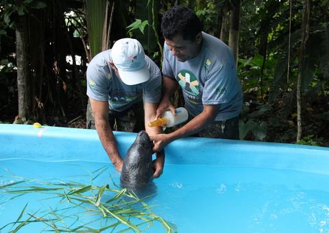 De Museu a Zoológico: Veja os locais com entradas gratuitas nesta sexta-feira (27) em Manaus