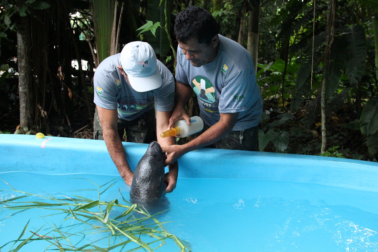 De Museu a Zoológico: Veja os locais com entradas gratuitas nesta sexta-feira (27) em Manaus