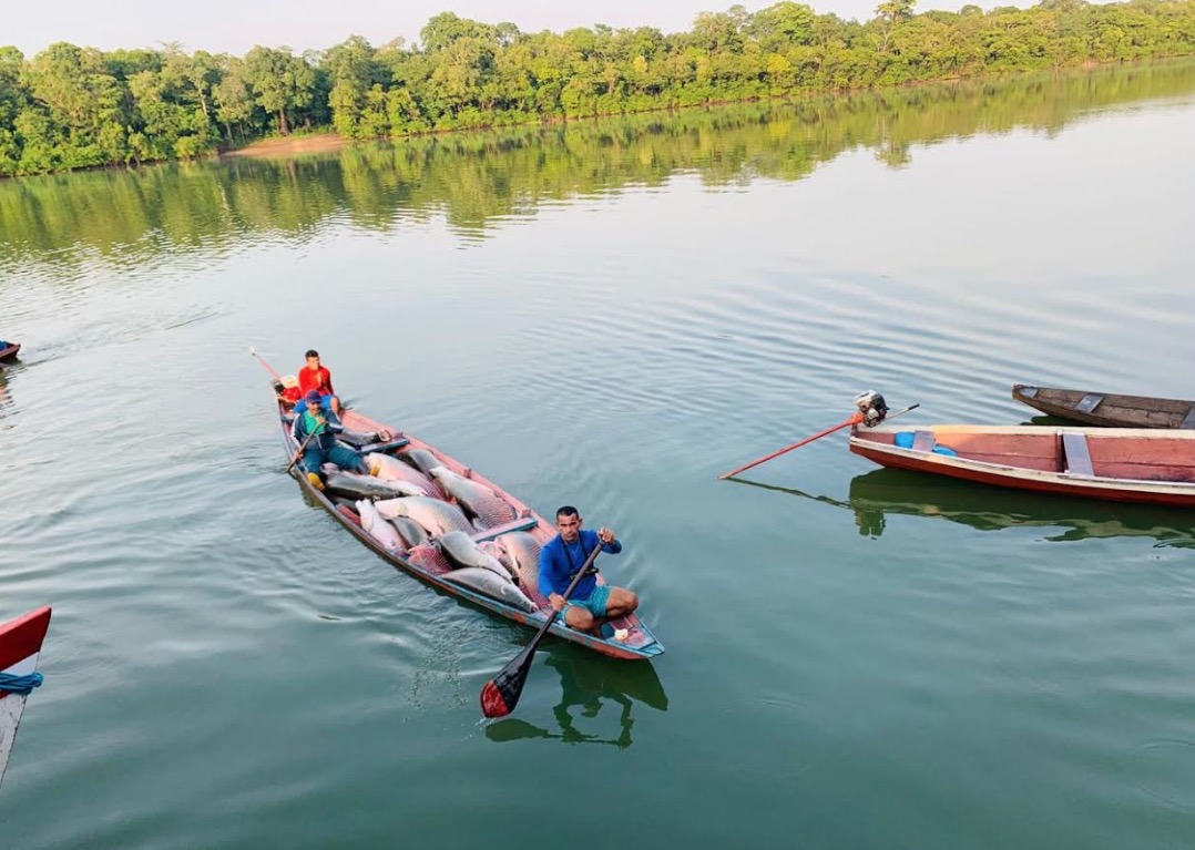 Acordo de pesca em reserva sustentável deve ordenar recursos no Amazonas