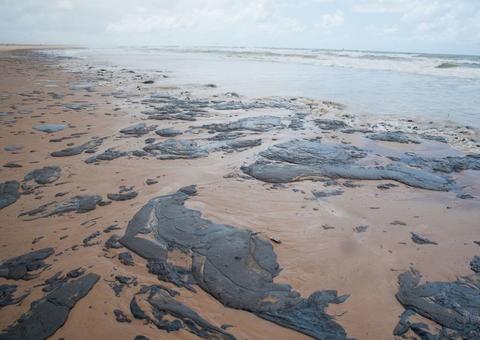 Sobe para 53 número de municípios atingidos por óleo no Nordeste
