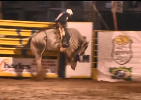 Cowboy morre ao ser pisoteado por touro durante apresentação em rodeio