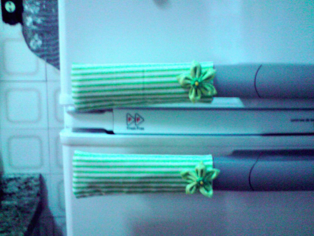 Corpo de mulher é encontrado pelo irmão dentro de geladeira 