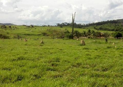 Prazo de entrega de Declaração do ITR acaba nesta segunda (30)