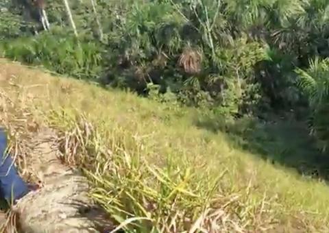 Corpo decapitado é encontrado em área de mata em Manaus 