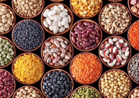 Proteínas vegetais têm benefícios semelhantes aos da carne; saiba mais