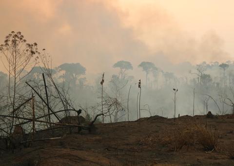Fumaça de queimadas leva 30 mil crianças a hospitais, diz Fiocruz