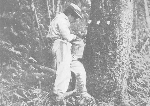 Dependente de soldado da borracha pode acumular pensão e aposentadoria por idade