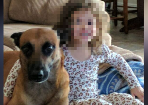 Homem acusa empresa aérea de ter “fritado” seu cachorro durante viagem de avião