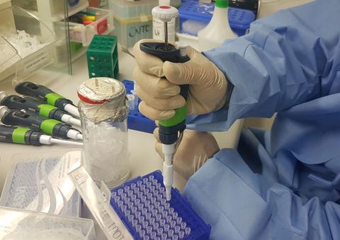 Mulheres e crianças infectadas por Zika desenvolvem imunidade ao vírus