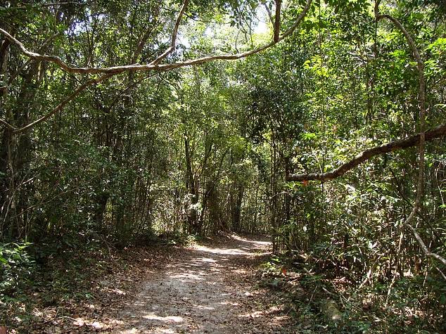 Homem é preso suspeito de estuprar a própria irmã em trilha de Manaus