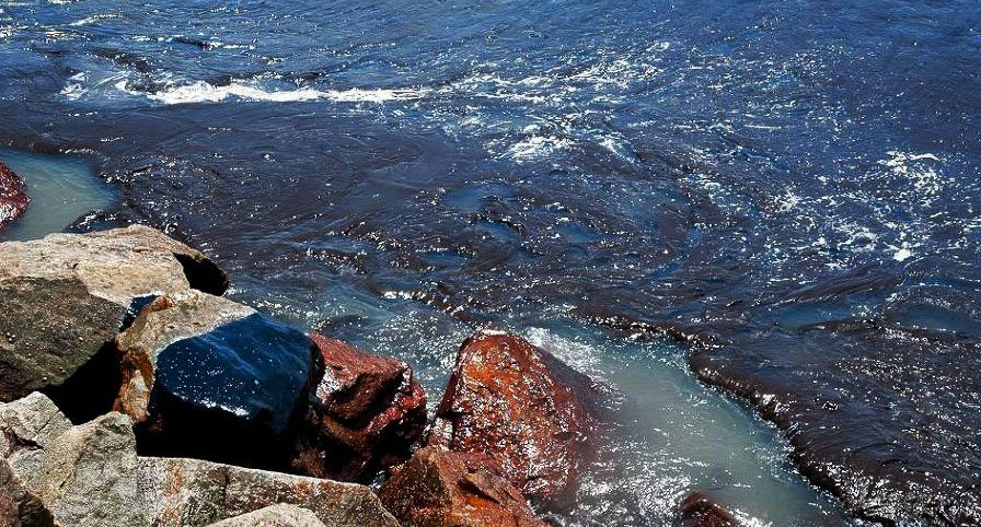 Bolsonaro diz que derrame de óleo no Nordeste pode ter sido criminoso e tem suspeito