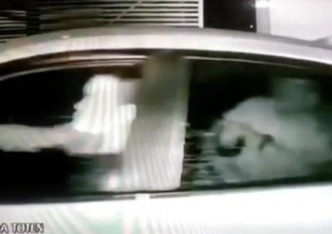 Prefeitura deve esclarecer denúncias sobre suposto uso de estrutura do executivo no 'caso Flávio'