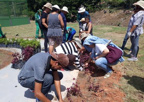  Minicurso de jardinagem e paisagismo tem inscrições abertas em Manaus