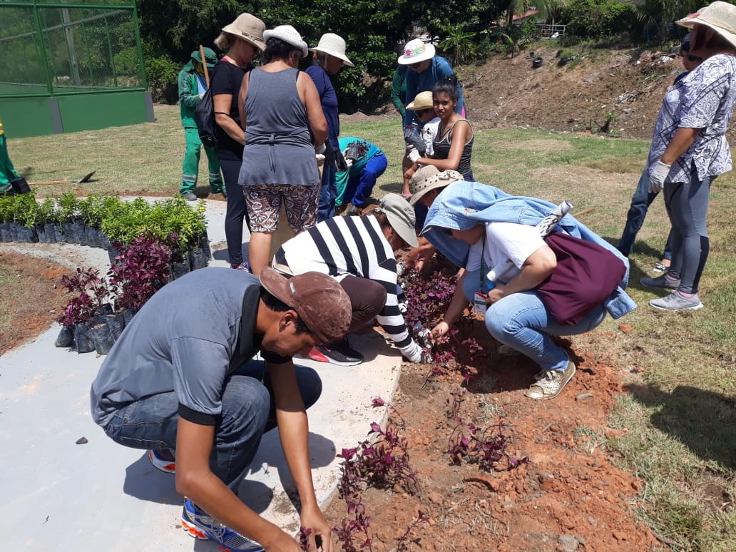  Minicurso de jardinagem e paisagismo tem inscrições abertas em Manaus