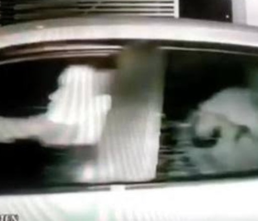 Prefeitura abre sindicâncias para apurar uso de carro e servidor no caso  Flávio