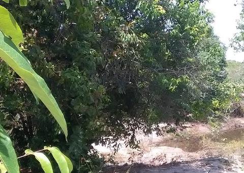 Uso inteligente do clima na agricultura tem palestra no Inpa nesta quinta