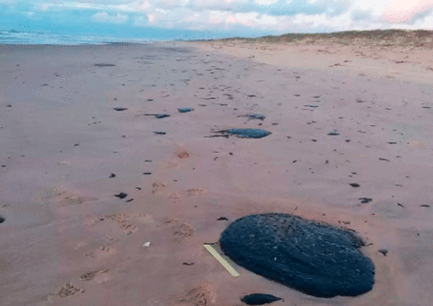 Venezuela nega responsabilidade por petróleo em praias do Brasil 