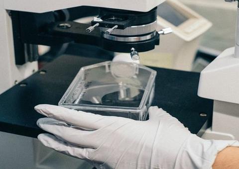 Tratamento de médicos da USP faz desaparecer células de leucemia